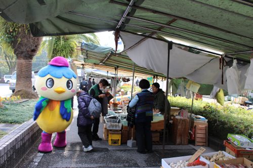 高知の街路市 木曜市に行ってきたでぇ やいろちゃん公式ホームページ